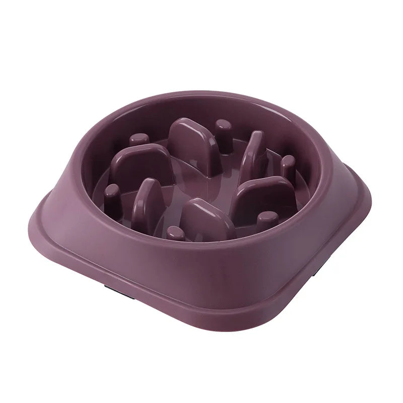 Pet Slow Food Bowl Multiple Colours & Shapes