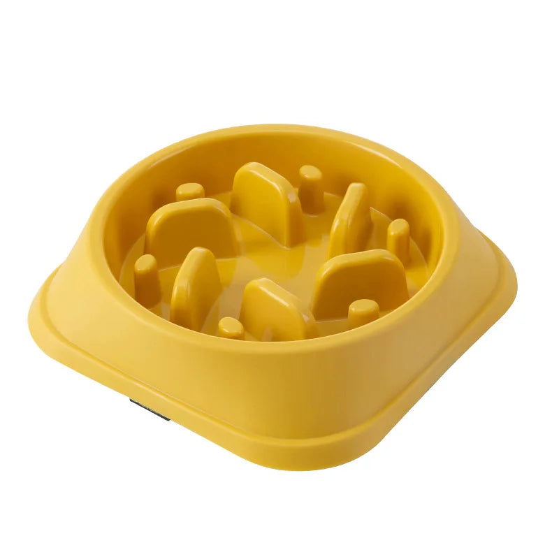 Pet Slow Food Bowl Multiple Colours & Shapes