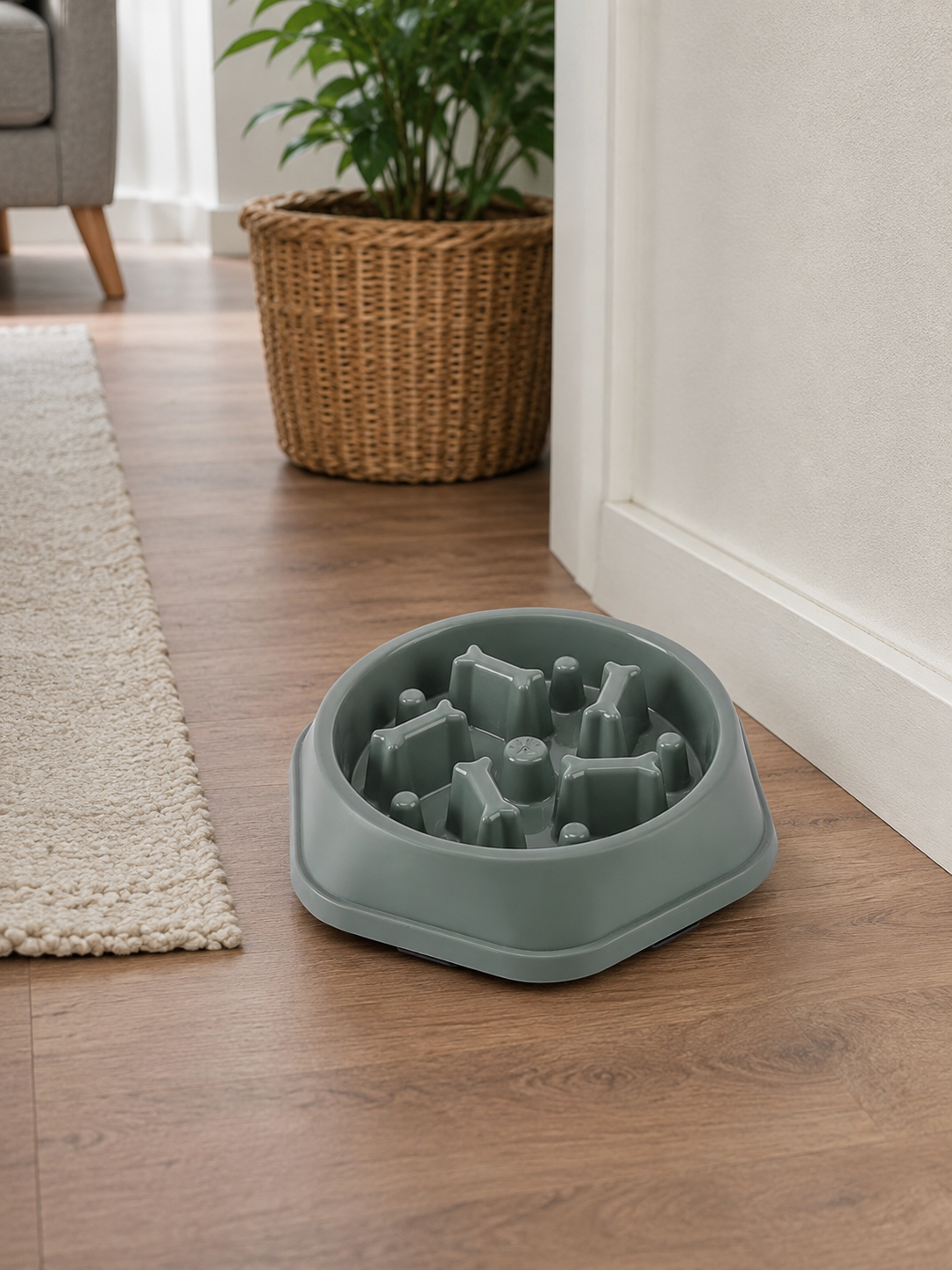 Pet Slow Food Bowl Multiple Colours & Shapes